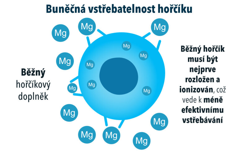 Srovnání účinnosti vstřebávání pikometrového hořčíku