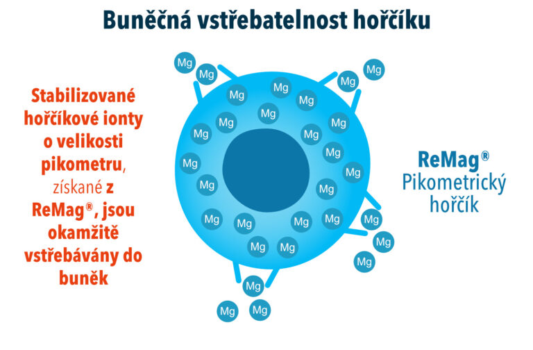 Srovnání účinnosti vstřebávání pikometrového hořčíku