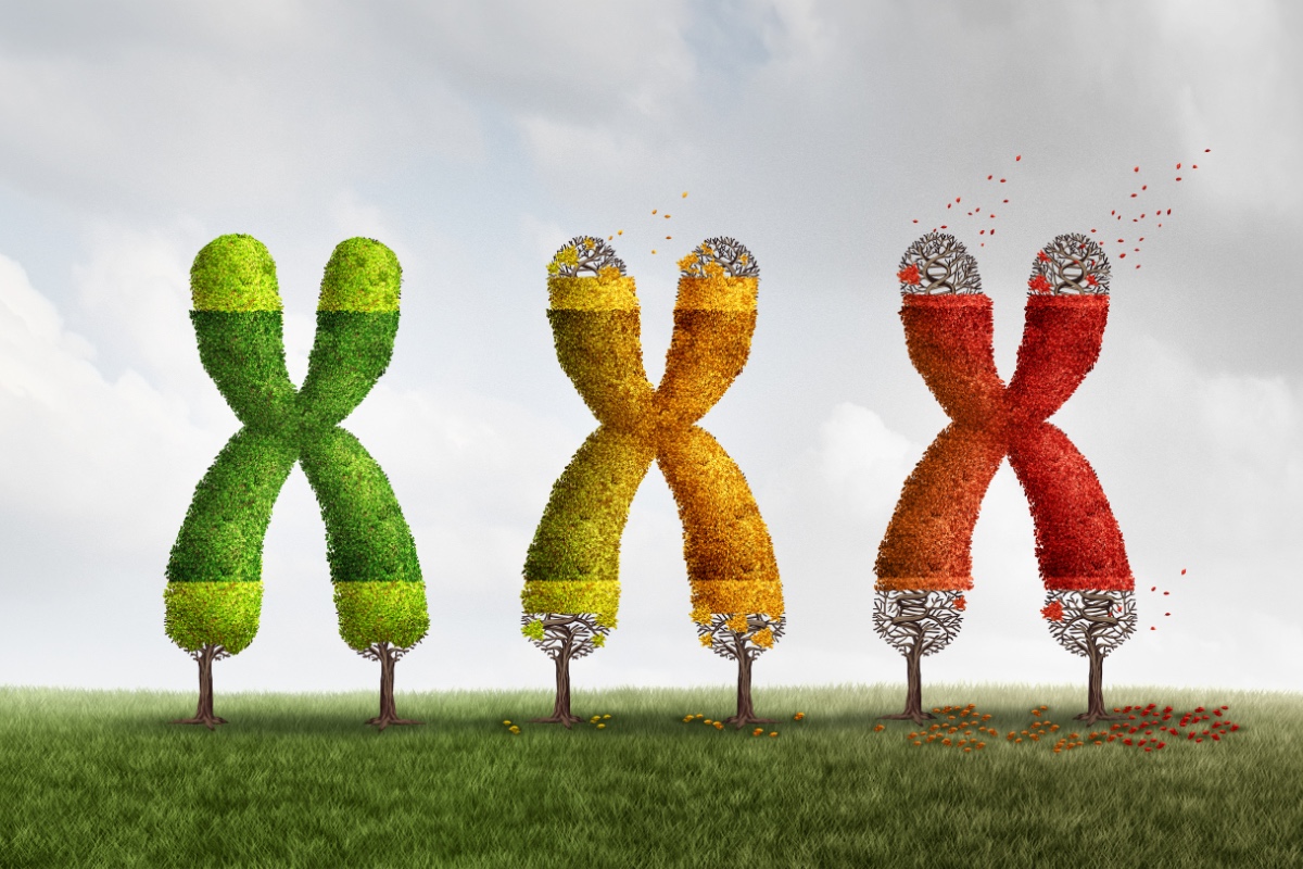 Kolik draslíku potřebujeme?