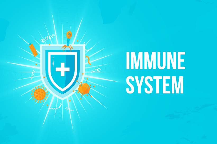 Deset věcí, které oslabují imunitní systém